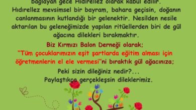 https://padlet.com/kirmizibalonder17/Bookmarks